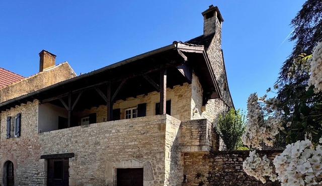Renovated Périgourdine stone house with grounds