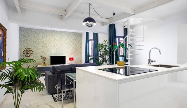 Vacation Home "Blue sky-loft ático" with Terrace & Wi-Fi