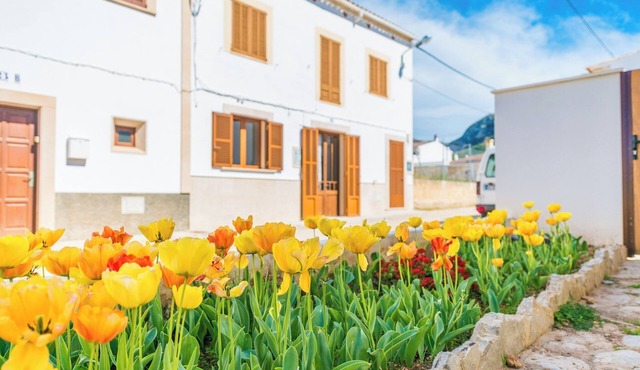 Vila Ca Shermano - Apartment With Free Wifi