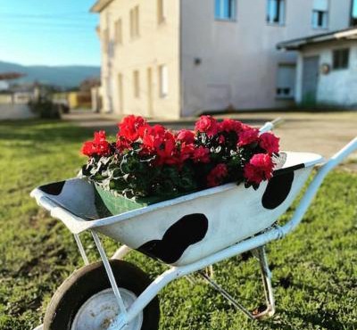 Viviendas uso turístico REME II
