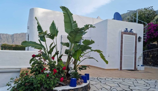 Vrbo Property