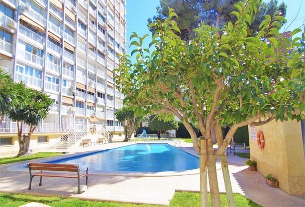 Apartamento Albatros 12-8