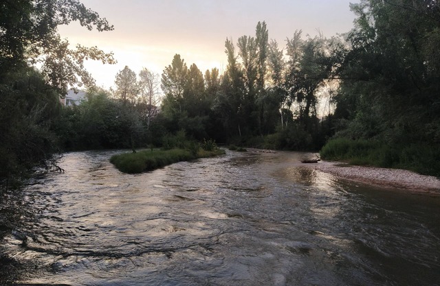 Junto Al Guadalquivir 