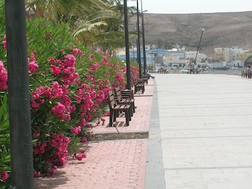 Tarajalejo beach
