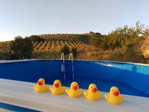 Alcala la Real House | 15 m² House ∙ 3 bedrooms ∙ 8 guests