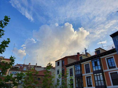 Valladolid City Centre Bed & Breakfast | 19 m² Bed and breakfast ∙ 2 guests