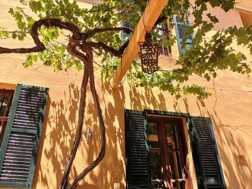 Establiments Villa | 300 m² Villa ∙ 5 bedrooms ∙ 14 guests