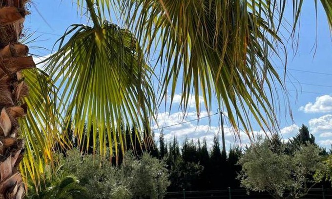 Moratalla House | 350 m² House ∙ 4 bedrooms ∙ 12 guests