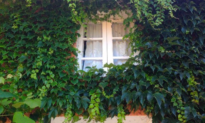 Souto Bed & Breakfast | 40 m² Bed and breakfast ∙ 3 guests