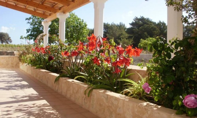 Formentera House | San Francisco: traditional farmhouse-san francisco