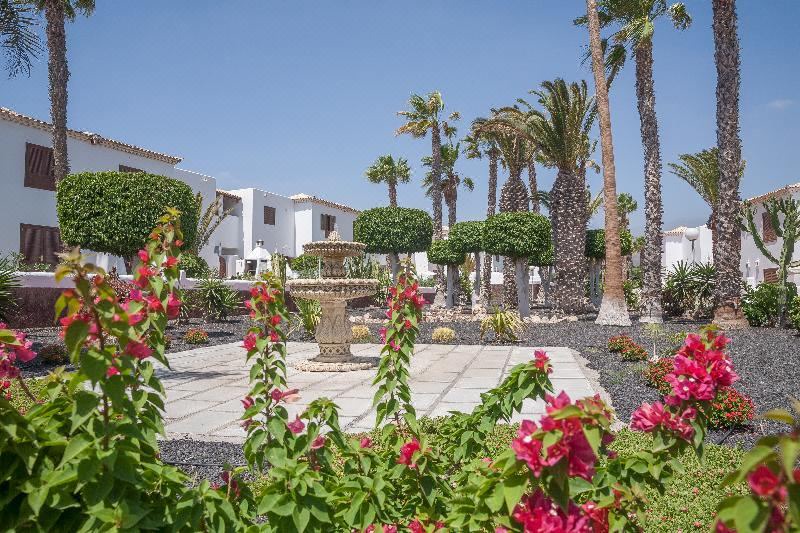 Photo of Others in San Miguel de Abona
