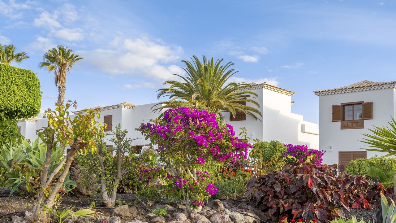 Photo of Buildings in San Miguel de Abona