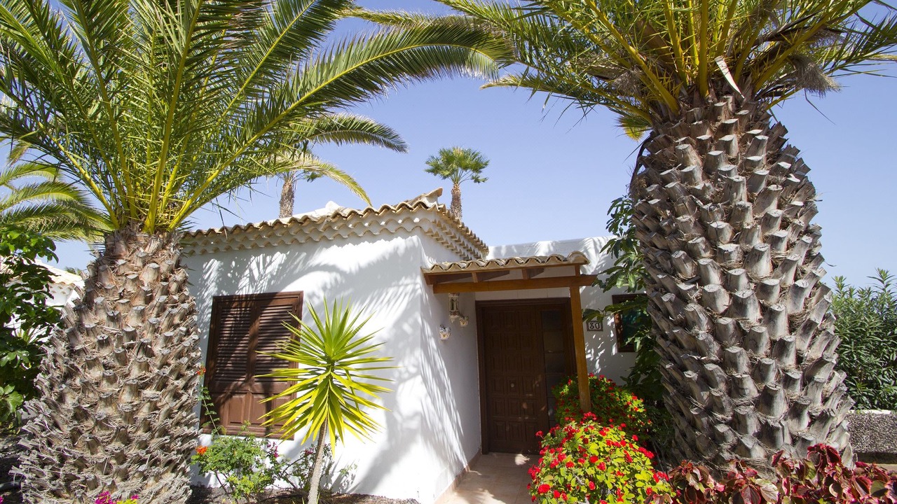Photo of Buildings in San Miguel de Abona