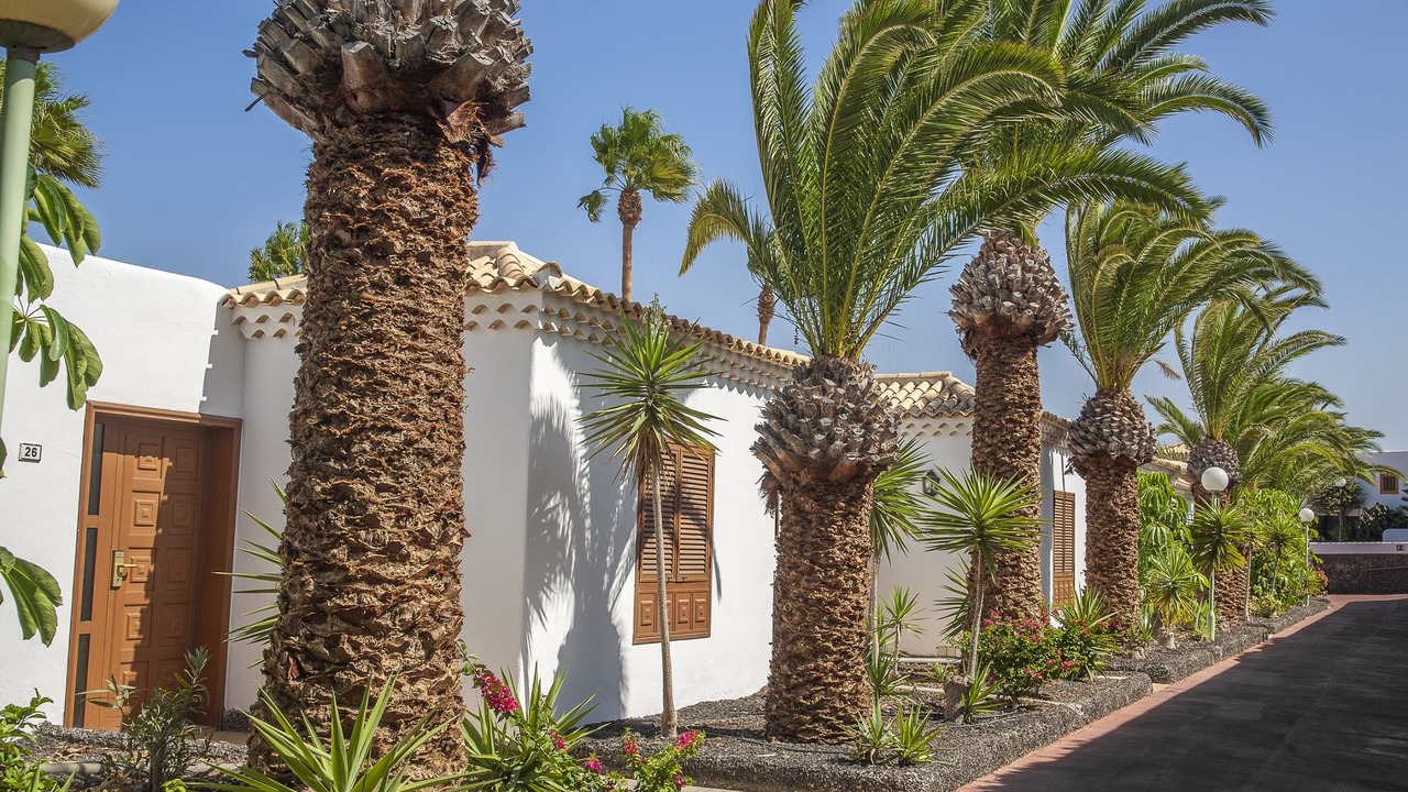 Photo of Buildings in San Miguel de Abona
