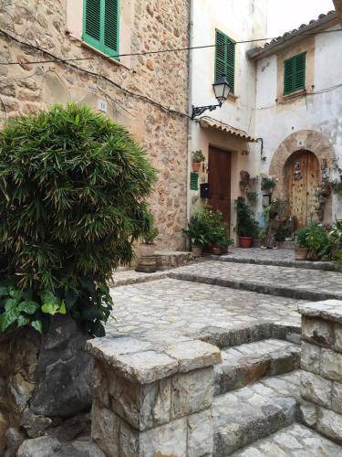 Photo of Others in Valldemossa