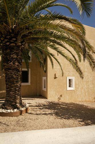 Photo of Others in Sant Francesc Xavier