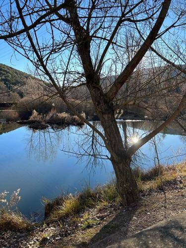 Photo of Others in Soria