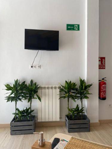 Photo of Livingroom in Jerez de los Caballeros