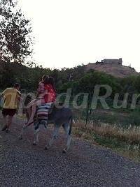 Photo of Others in Aracena