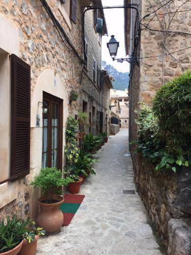 Photo of Others in Valldemossa
