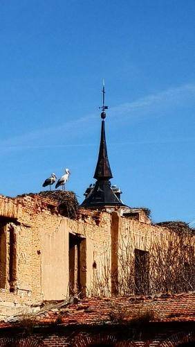 Photo of Others in Alcala de Henares