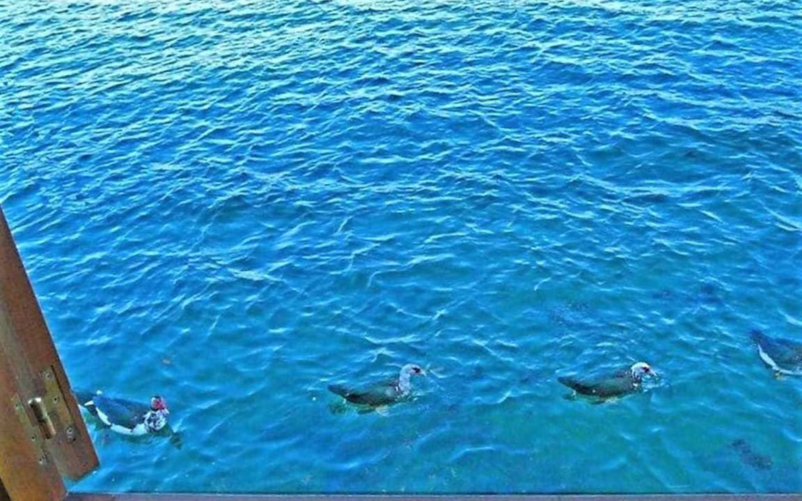 Photo of Others in Combarro