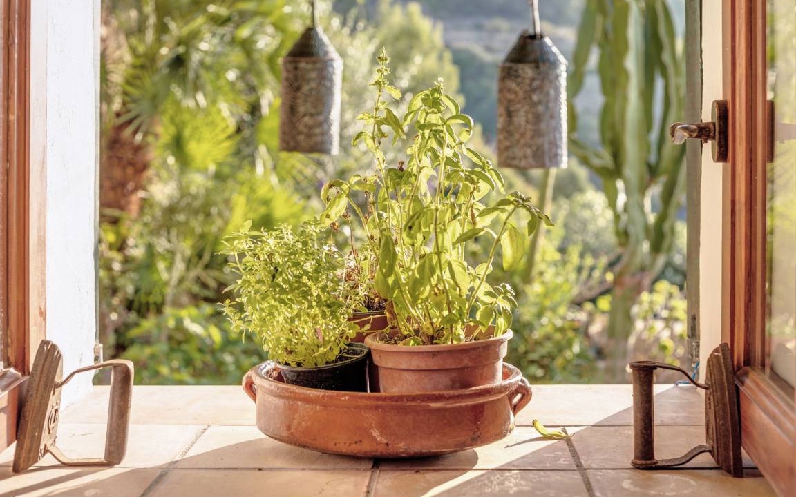 Photo of Patio Balcony in Banyalbufar