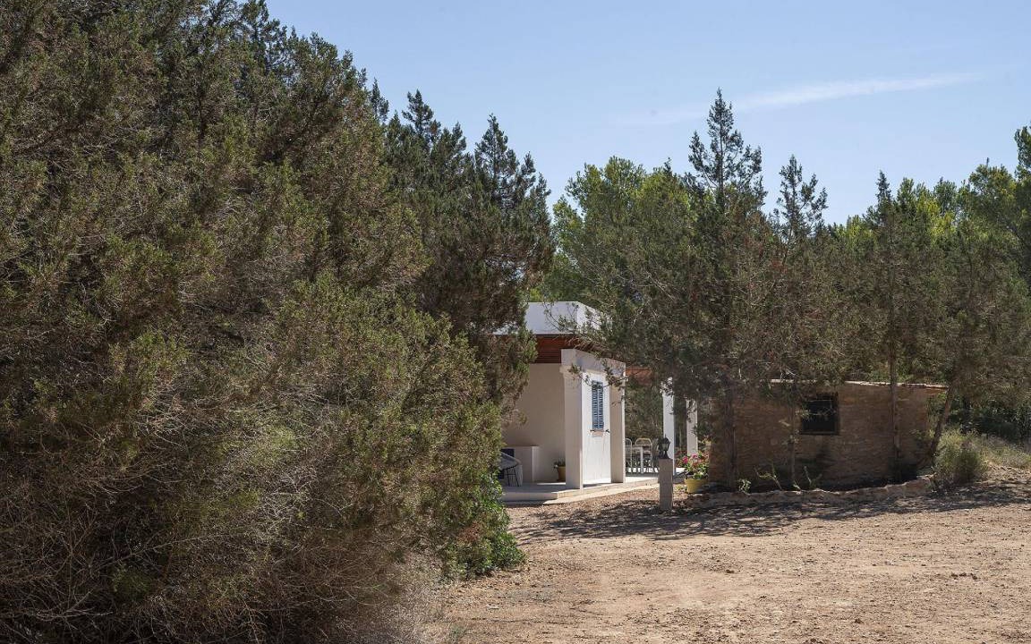 Photo of Others in Formentera