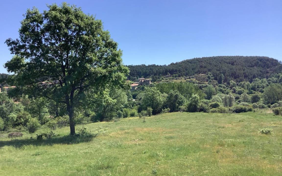 Photo of Others in Rabanera del Pinar