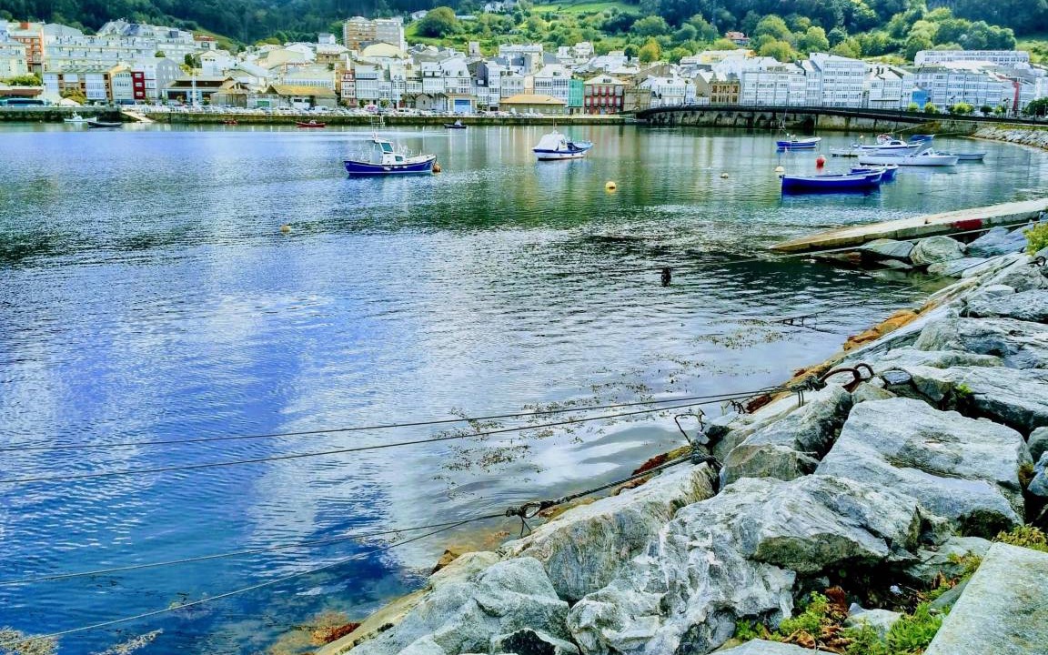 Photo of Others in Viveiro