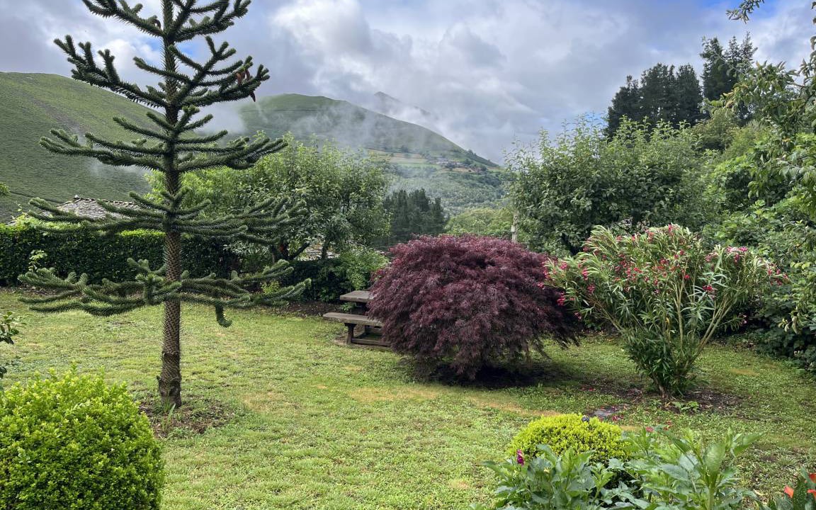 Photo of Outdoor in Allande