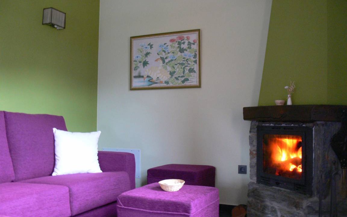 Photo of Livingroom in Allande