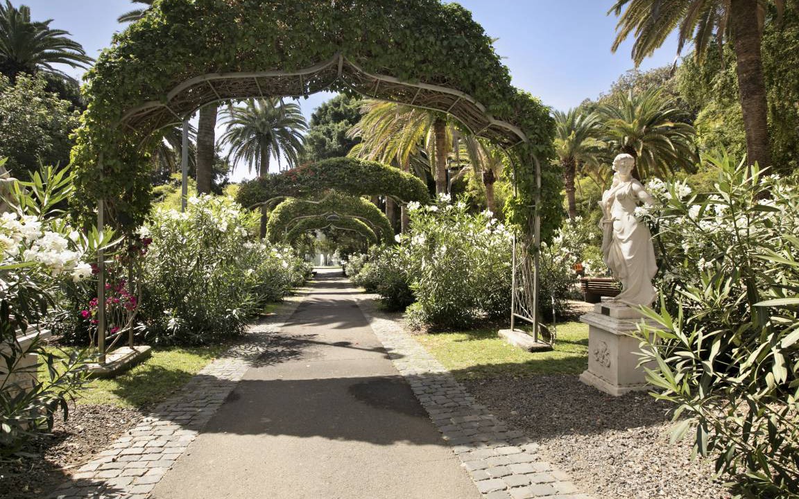 Photo of Others in Santa Cruz de Tenerife