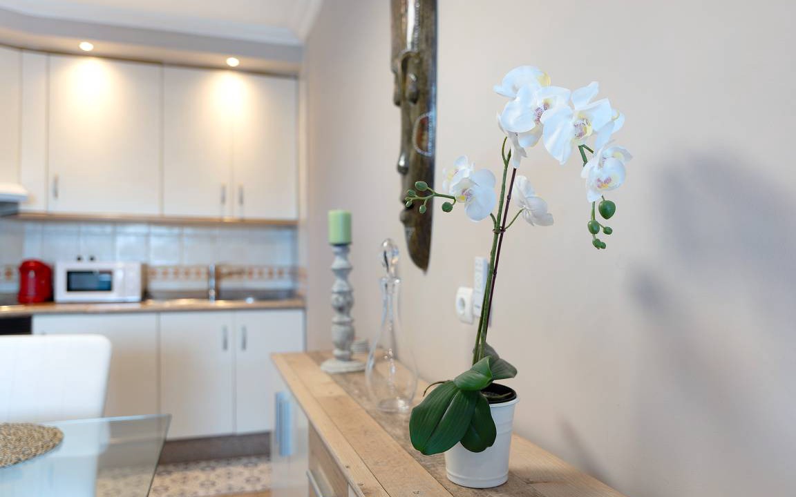 Photo of Kitchen in Granadilla de Abona