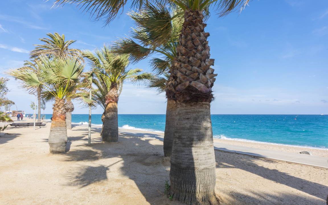Photo of Others in Pineda de Mar