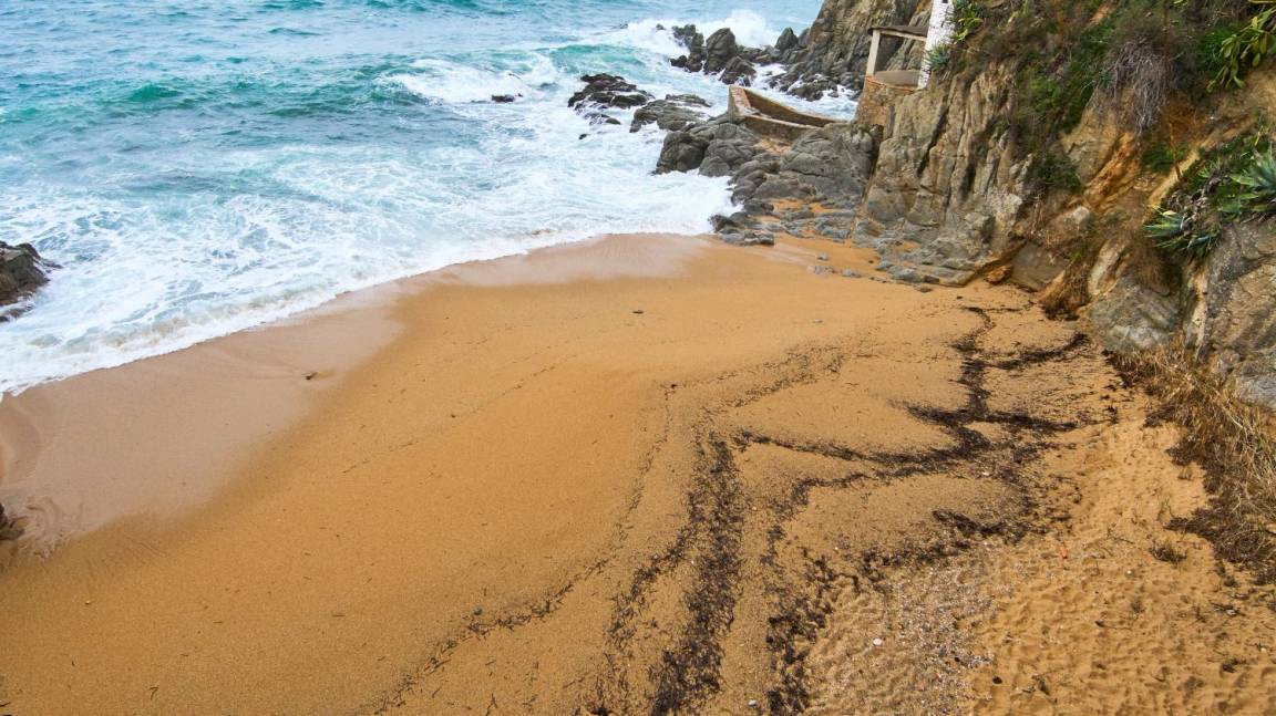 Photo of Others in Calella de Palafrugell
