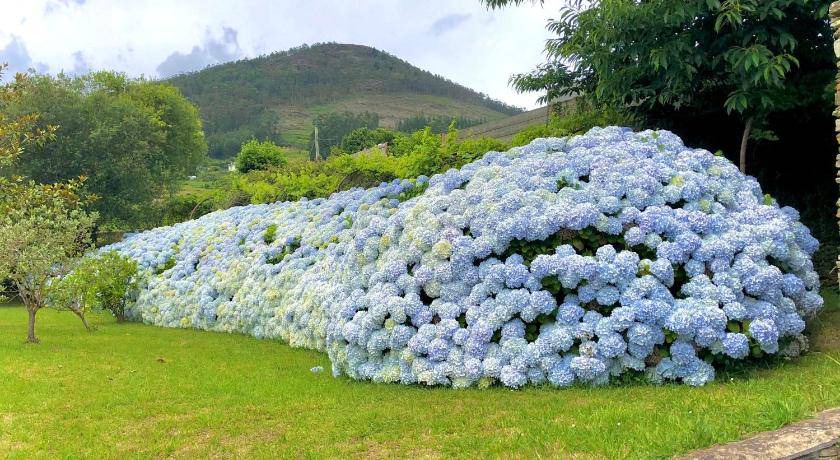 Photo of Others in Viveiro