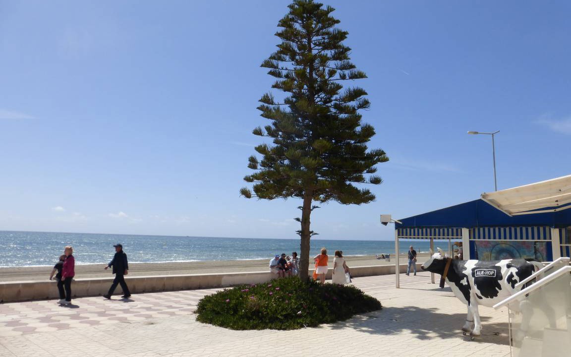 Photo of Others in Roquetas de Mar
