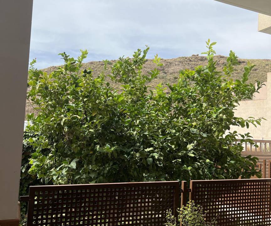 Photo of Others in Carboneras