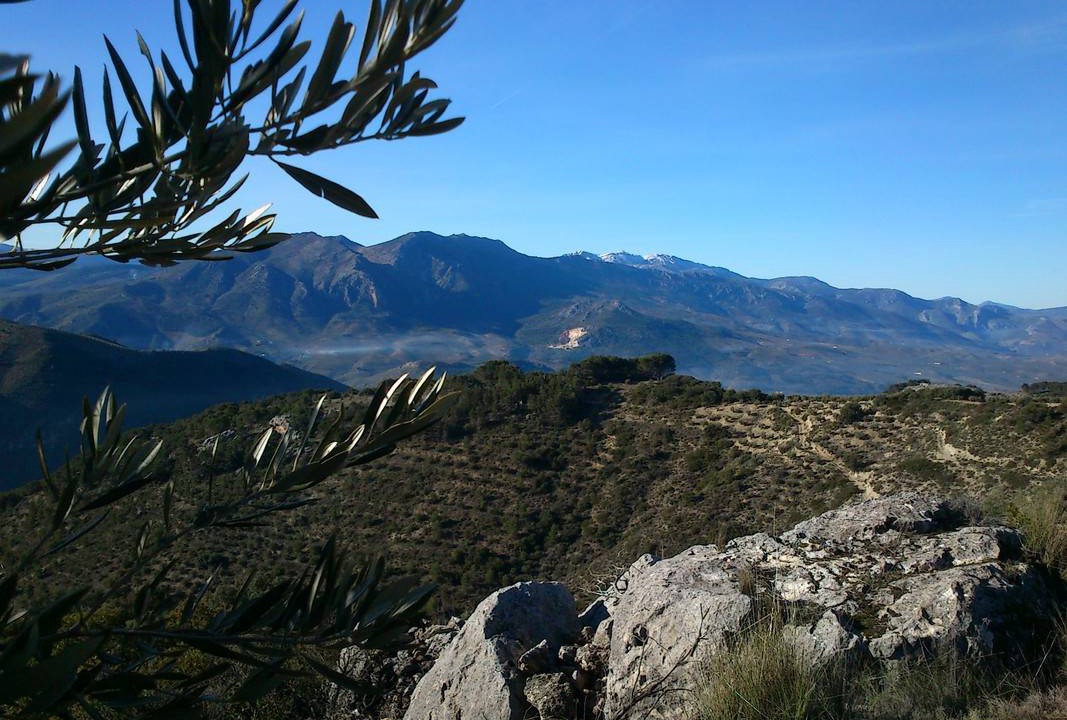 Photo of Others in Pegalajar