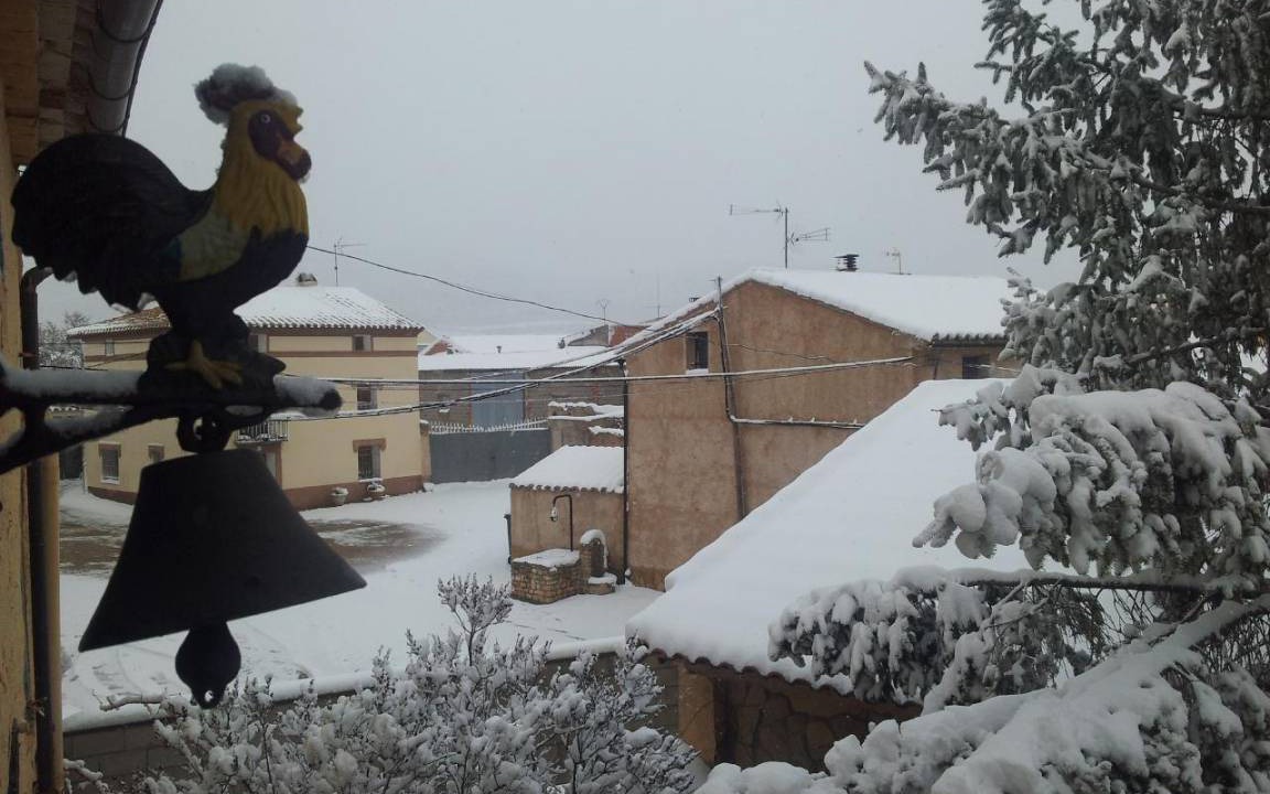 Photo of Others in Gallocanta