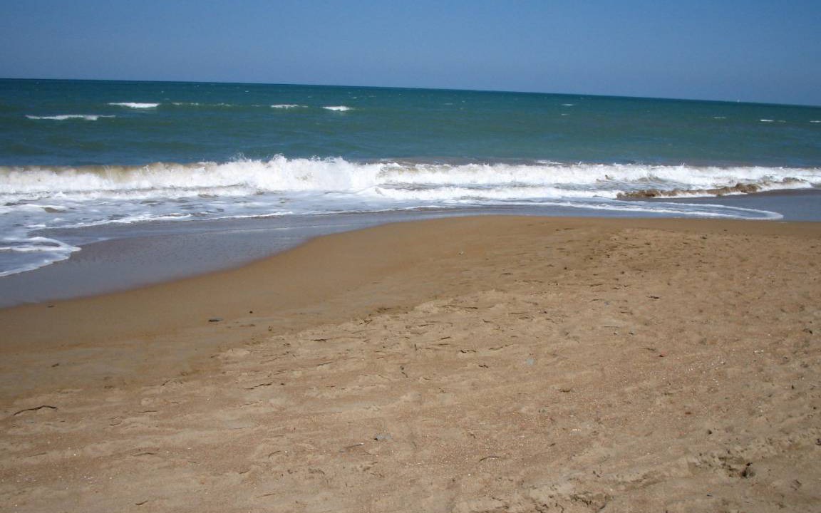 Photo of Others in Denia