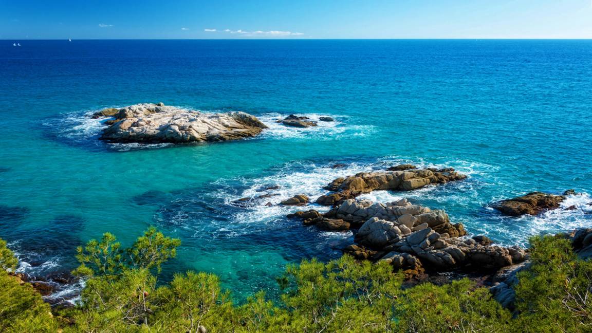 Photo of Outdoor in La Goba