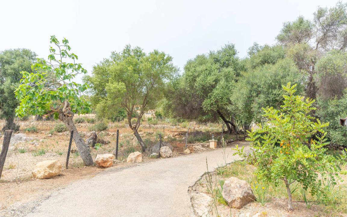 Photo of Others in Andraitx
