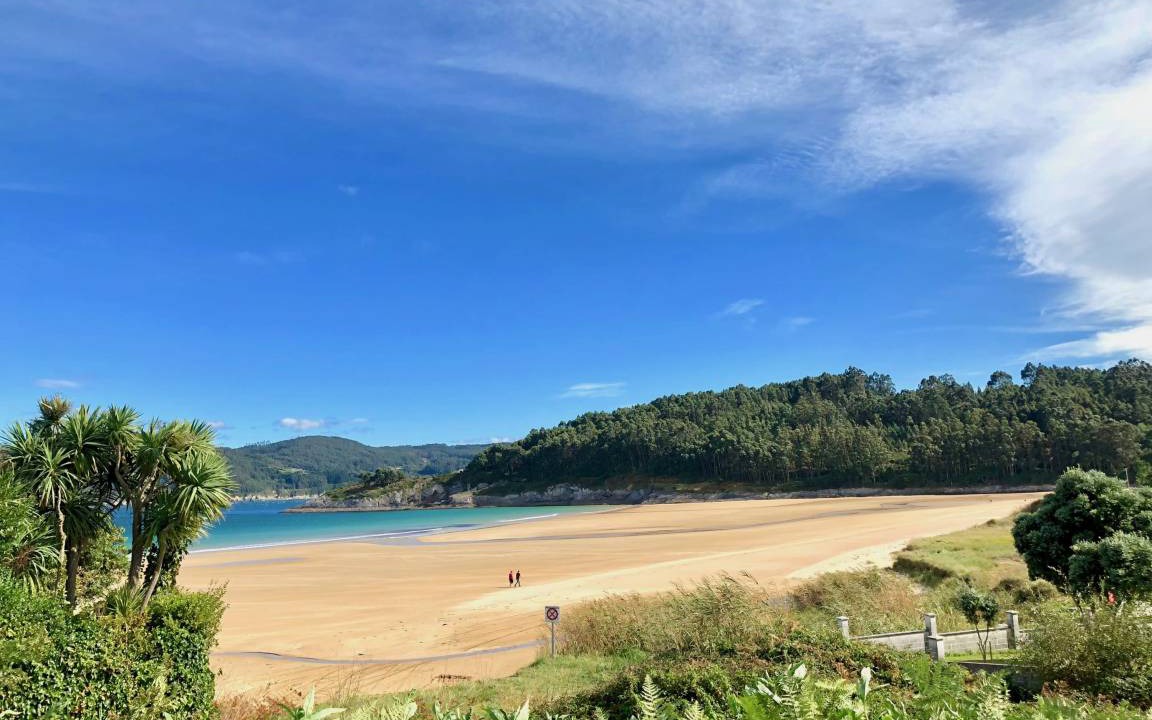 Photo of Others in Viveiro