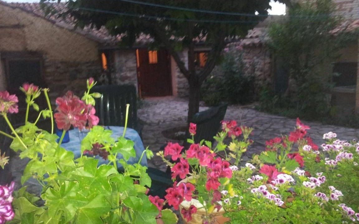 Photo of Others in Gallocanta