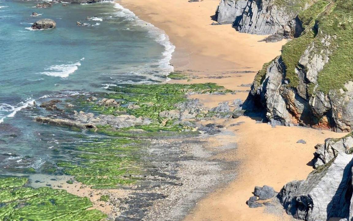 Photo of Others in Ortigueira