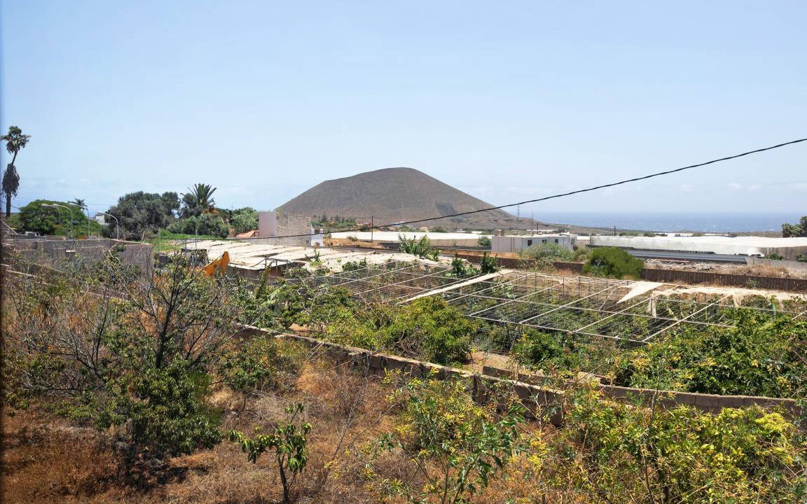 Photo of Others in Guimar