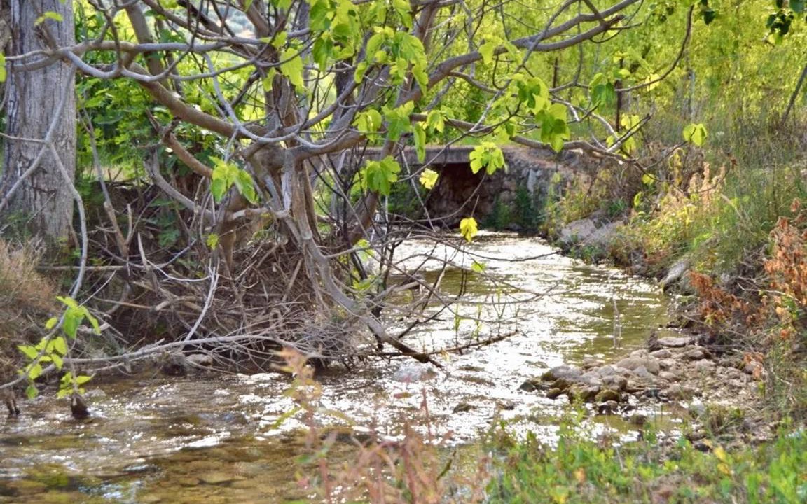 Photo of Others in Siles