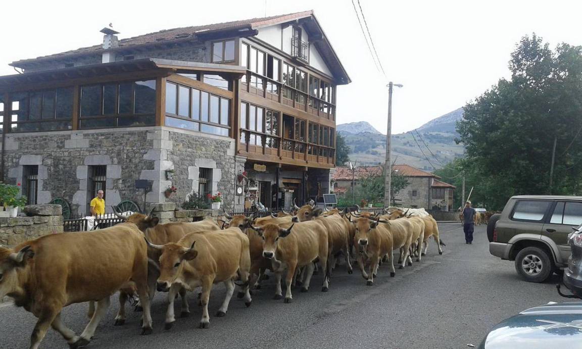 Photo of Buildings in La Gandara